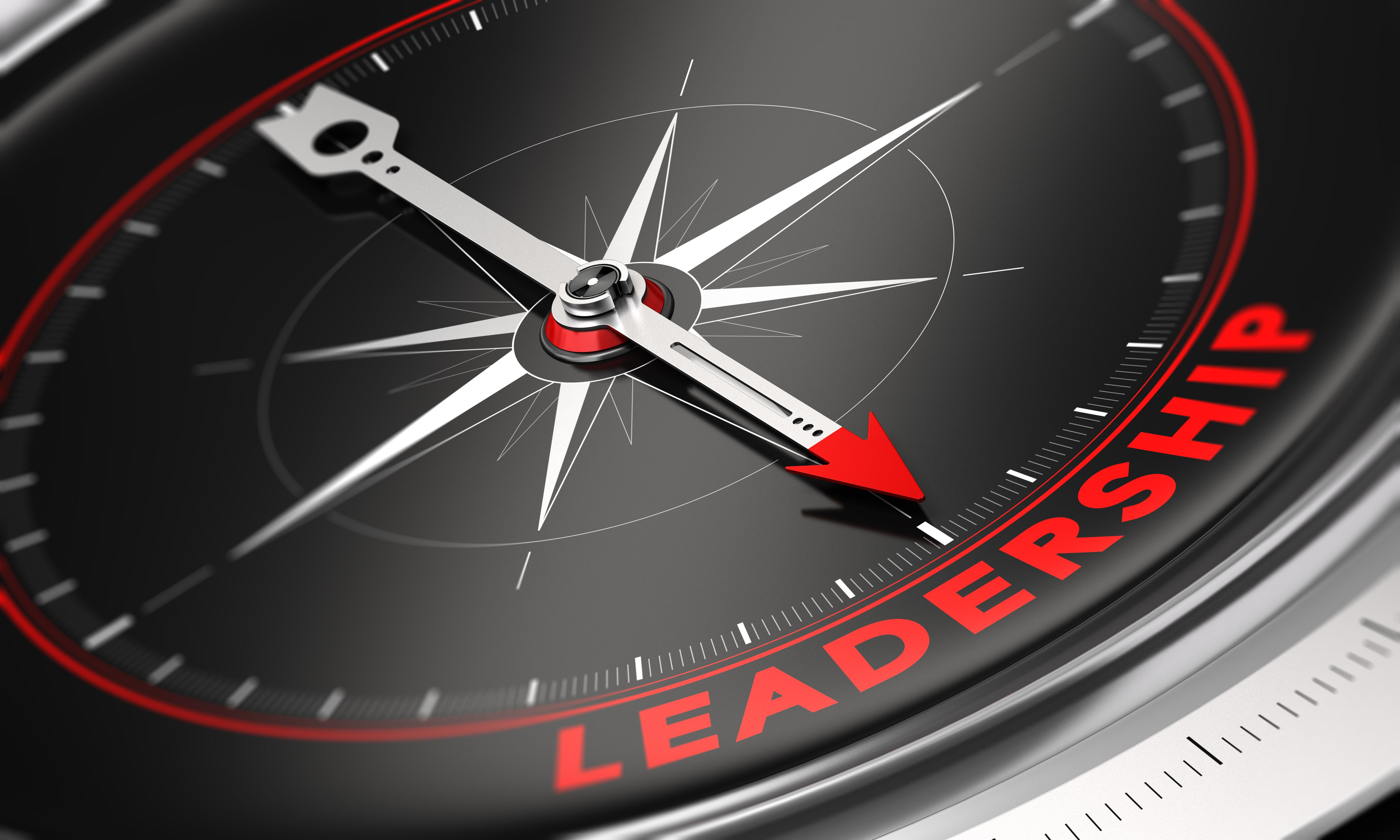Kompass im Leadership
